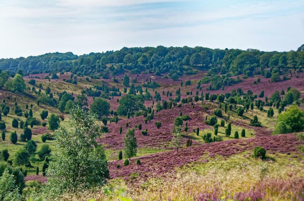 Ferienwohnungen Schaeferfeld Lüneburg Buitenkant foto