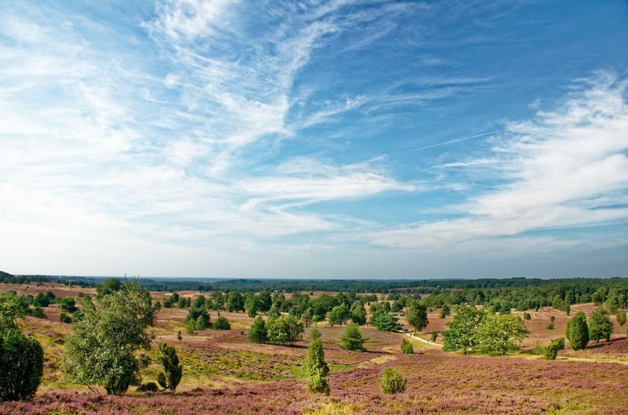 Ferienwohnungen Schaeferfeld Lüneburg Buitenkant foto